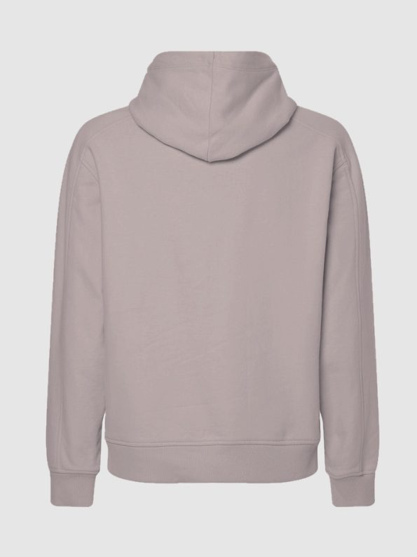 hoodie-gray-back