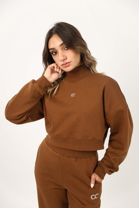 High collar Brown Chic Crop Top
