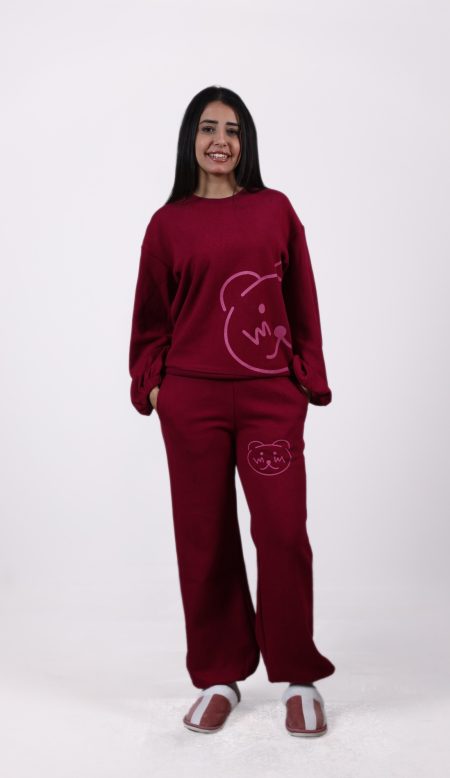 Shechick  Cute Teddy Bear Burgandy Set